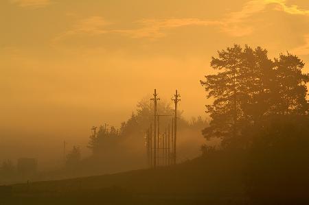 Morning mist.