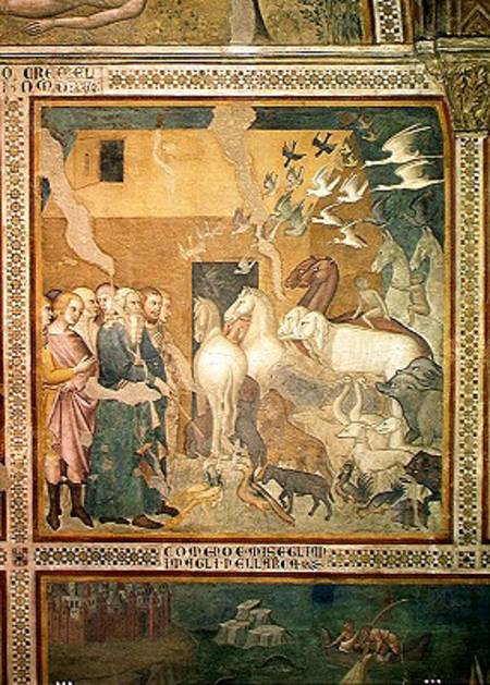 Noah Leading the Animals into the Ark a also Manfredi de Battilori Bartolo di Fredi
