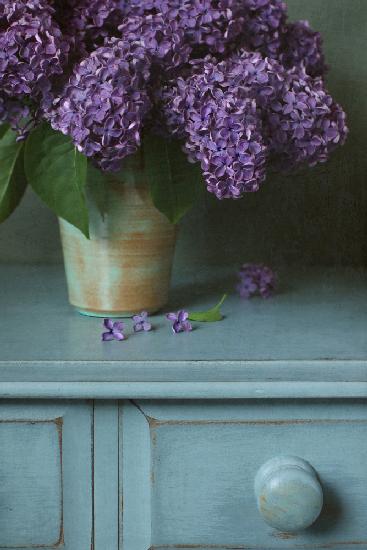 Purple Lilac Still Life