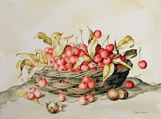Basket of cherries a  Amelia  Kleiser