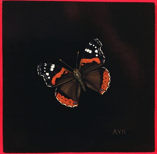 Red Admiral butterfly a  Amelia  Kleiser