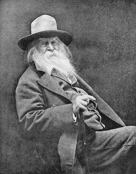 Walt Whitman (1819-91) (b/w photo)  a American Photographer