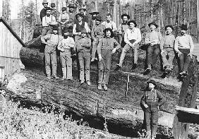 Woodcutters in California