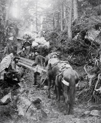 Climbing the Dyea Trail on the way to the Chilkoot Pass during the Klondike Gold Rush (1897-98) (b/w a American Photographer, (19th century)