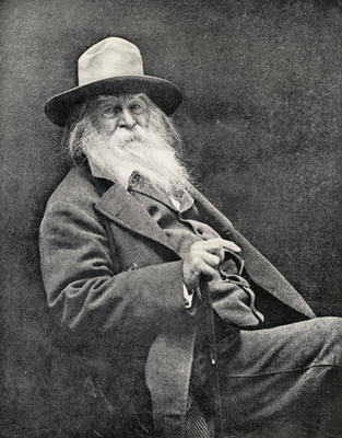 Walt Whitman (1819-91) (b/w photo) a American Photographer, (19th century)