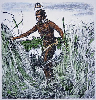 Runaway slave (coloured engraving) a Scuola Americana