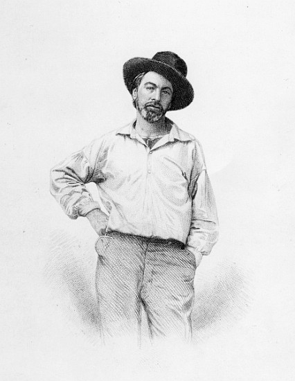 Walt Whitman, frontispiece to ''Leaves of Grass'' a Scuola Americana