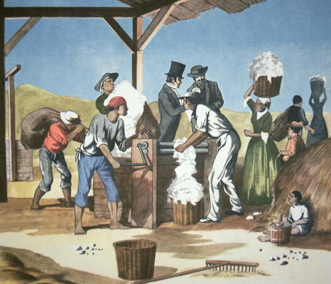 Eli Whitney's (1765-1825) Cotton Gin, operated by black slaves, 1793 (colour litho) a American School, (18th century)