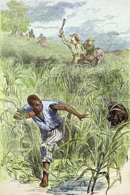 Hunting an escaped slave with dogs (coloured engraving)