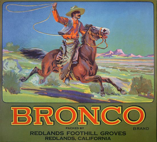 'Bronco Oranges' a American School, (20th century)