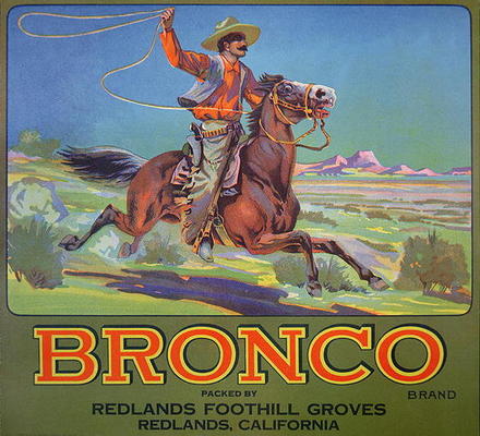 'Bronco Oranges', c.1900 (colour litho) a American School, (20th century)