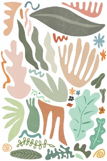Botanical Colors and Shapes