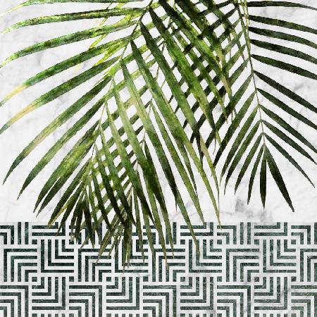 Palm Leaves on Tile Wall