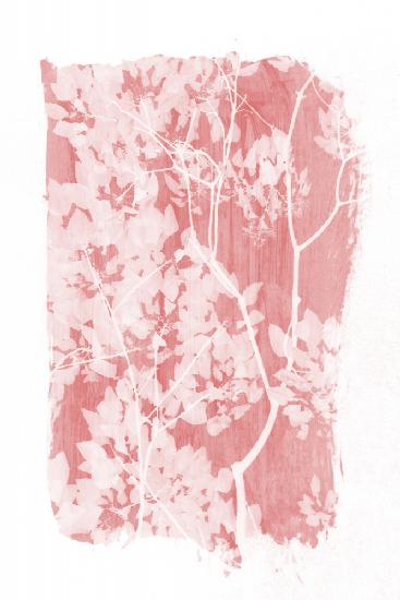 Pink Tree Foliage Silhouette