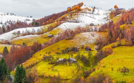 Powder sugar on the hills