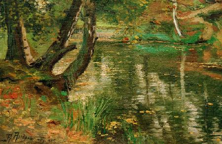 Summery river landscape with trees