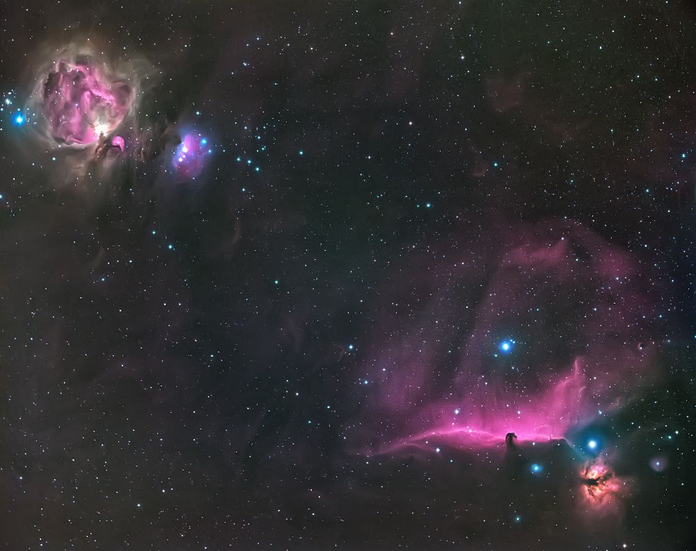 Orion Nebula and The Horsehead a Andrea Auf dem