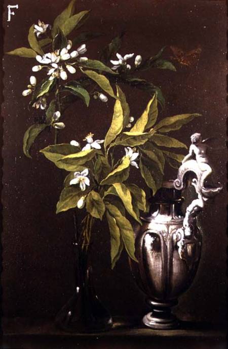 Still Life of Flowers and a Vase a Andrea Belvedere
