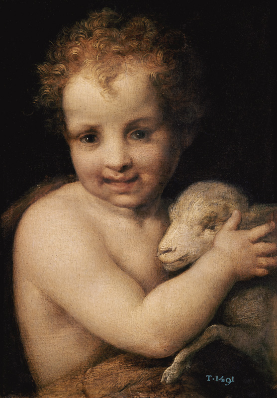 John the Baptist as child a Andrea del Sarto