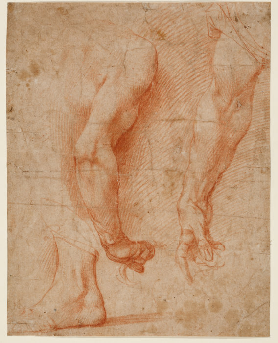 Studien von zwei Armen und eines Fußes a Andrea del Sarto