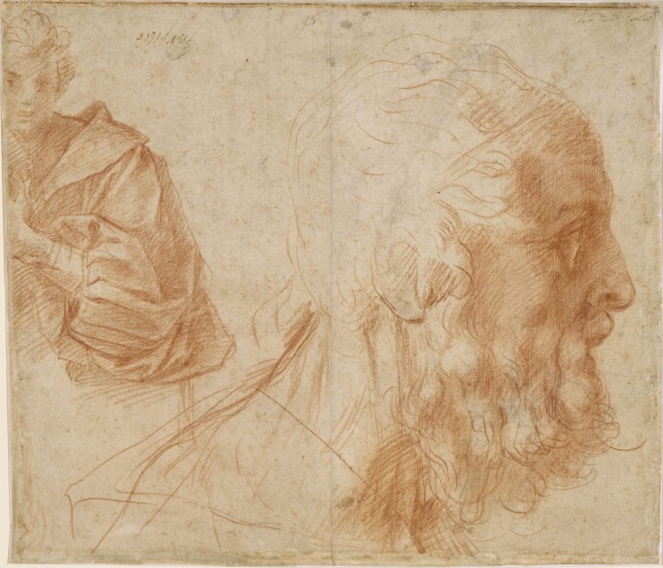 A youth and the head of an old man (Homer?). Study a Andrea del Sarto