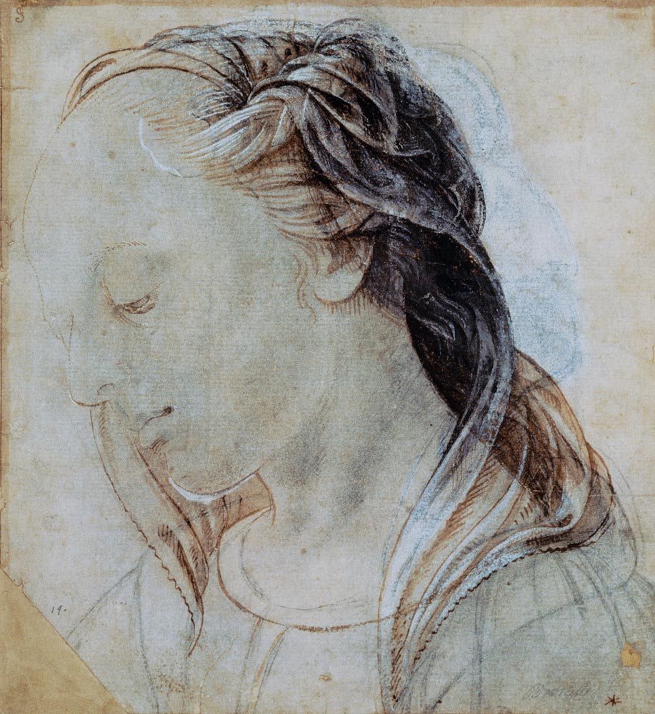 Female Head a Andrea del Verrocchio