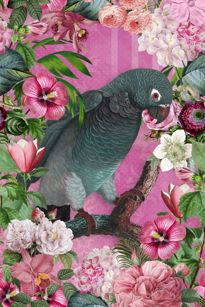 The Parrots Paradise Garden 3 a Andrea Haase