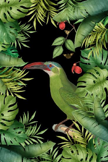 Jungle With Green Toucan