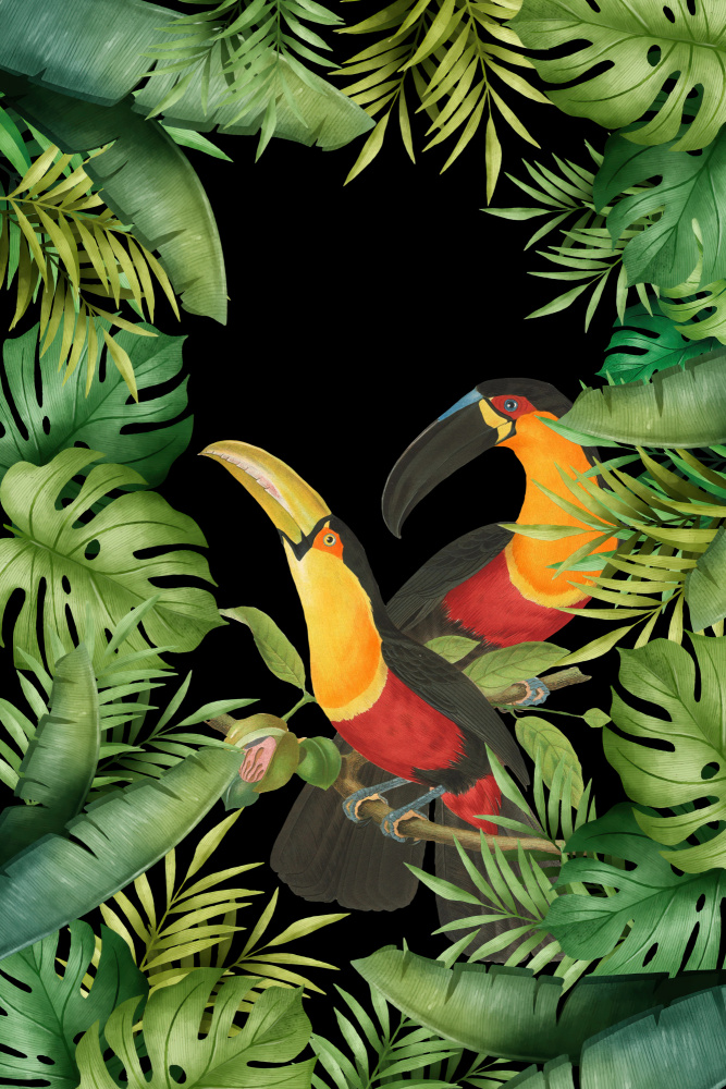 Jungle With Toucans a Andrea Haase