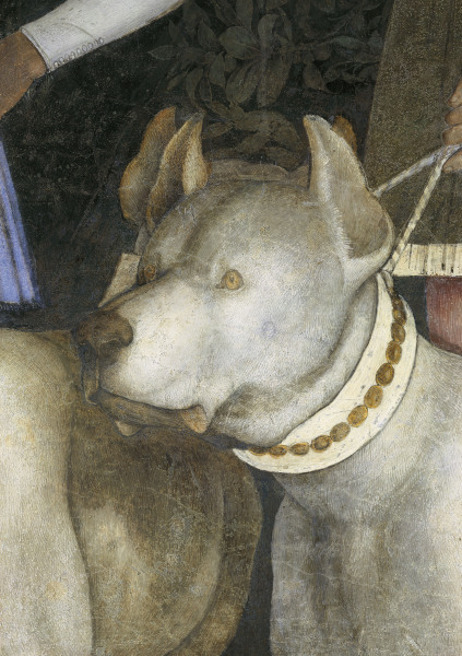 Camera d.Sposi, Dog a Andrea Mantegna