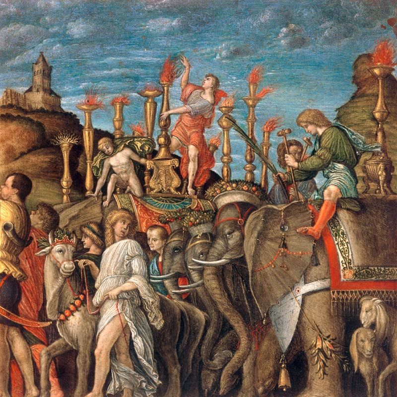 from Mantegna, Triumph of Caesar, eleph. a Andrea Mantegna