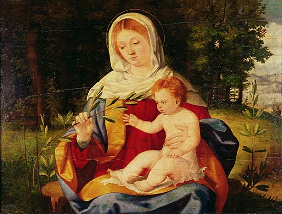 The Virgin and Child with a shoot of Olive, c.1515 a Andrea Previtali