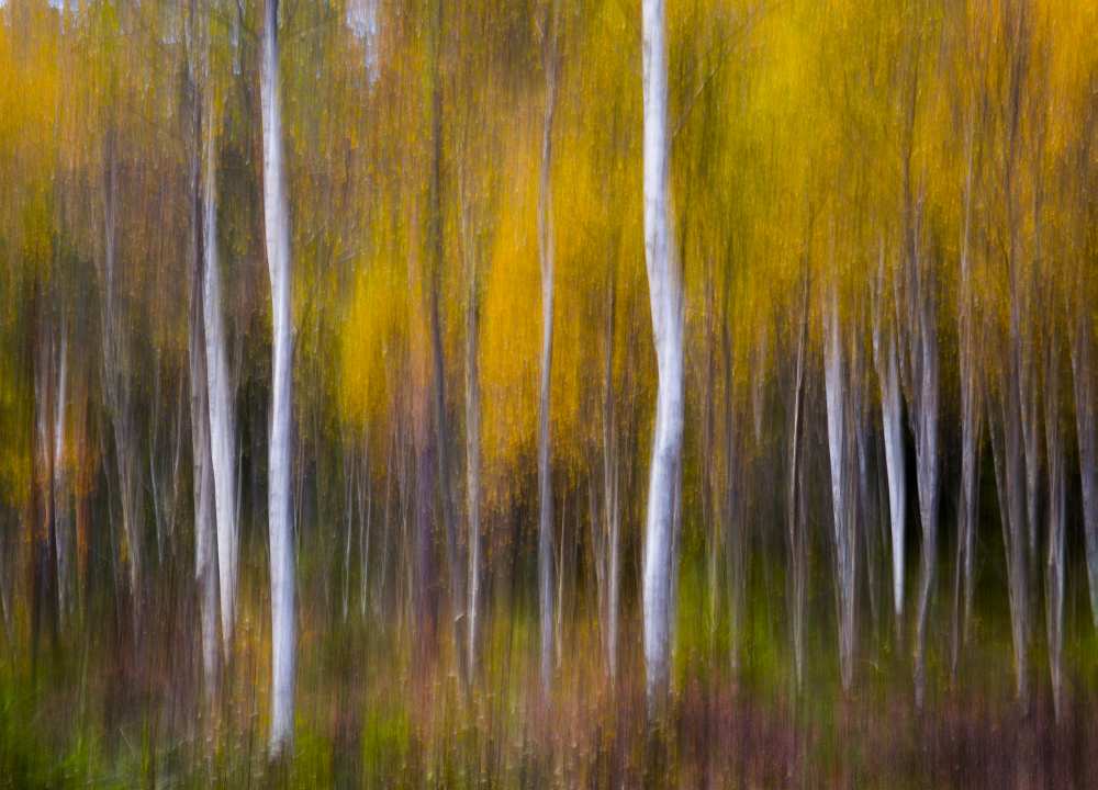 Abstract Fall a Andreas Christensen