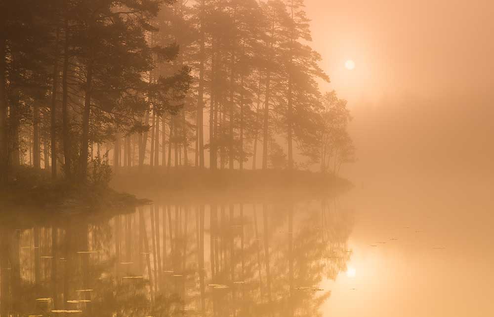 Sun & Mist a Andreas Christensen