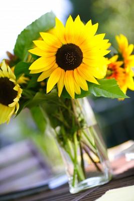 Sonnenblumen a Andreas Pollok