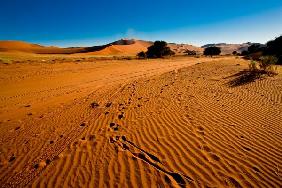 Sossusvlei Namibia