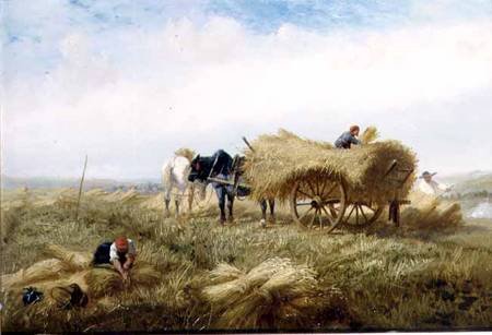 Harvesting, near Boulogne-sur-Mer a Andrew Beavis