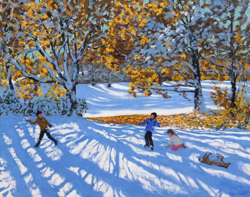 Early snow, Allestree Park a Andrew  Macara
