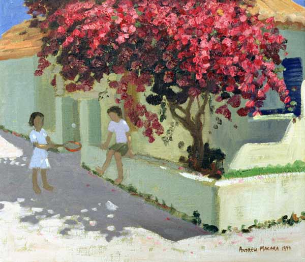 Bouganvillaea, Zante, 1999 (oil on canvas)  a Andrew  Macara