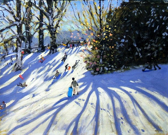Early snow, Darley Park a Andrew  Macara