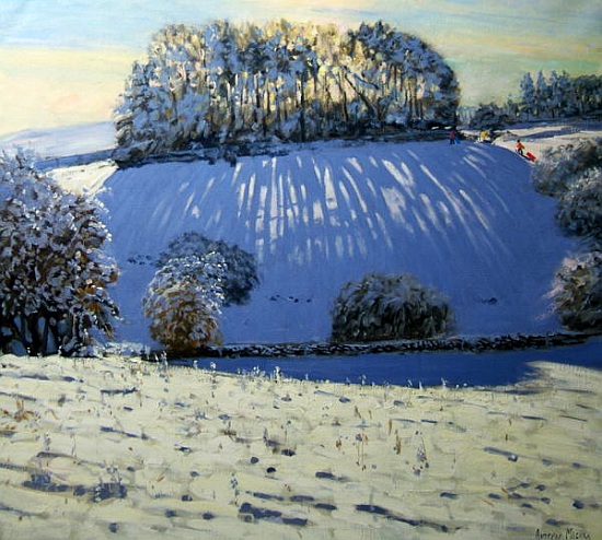 Field of shadows, near Youlgrave, Derbyshire a Andrew  Macara