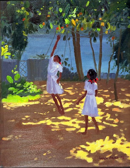 Reaching for Oranges, Bentota, Sri Lanka a Andrew  Macara