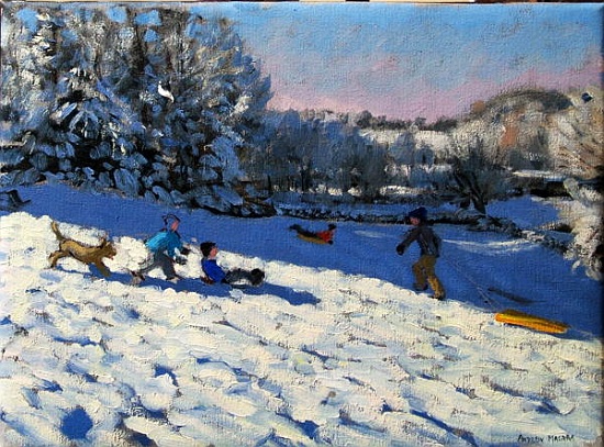 Sledging near Youlgreave, Derbyshire a Andrew  Macara