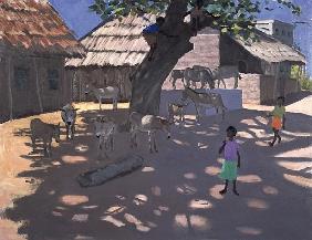 Donkeys, Lamu, Kenya, 1995 (oil on canvas) 