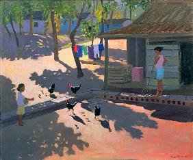 Hens and Chickens, Cuba