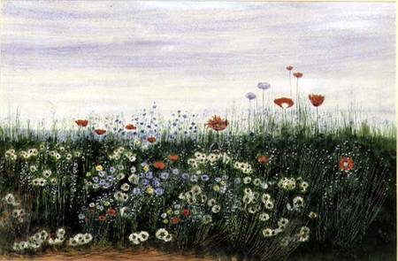 Poppies, Daisies and other Flowers by the Sea a Andrew Nicholl