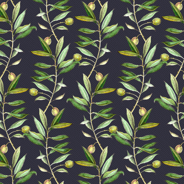 Olive branches a Andrew Watson
