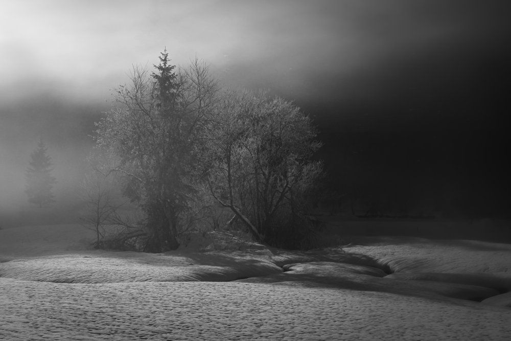 winter is painting in bw a Andy Dauer