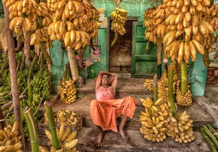 im Bananenparadies // In the banana paradise