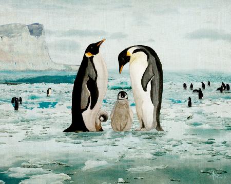 Emperor Penguin Family